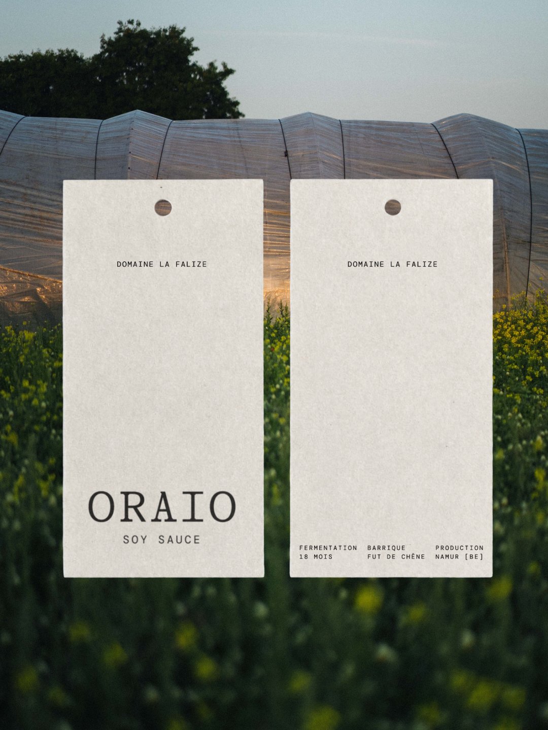 Oraio by Substance on Visual Journal → https://visualjournal