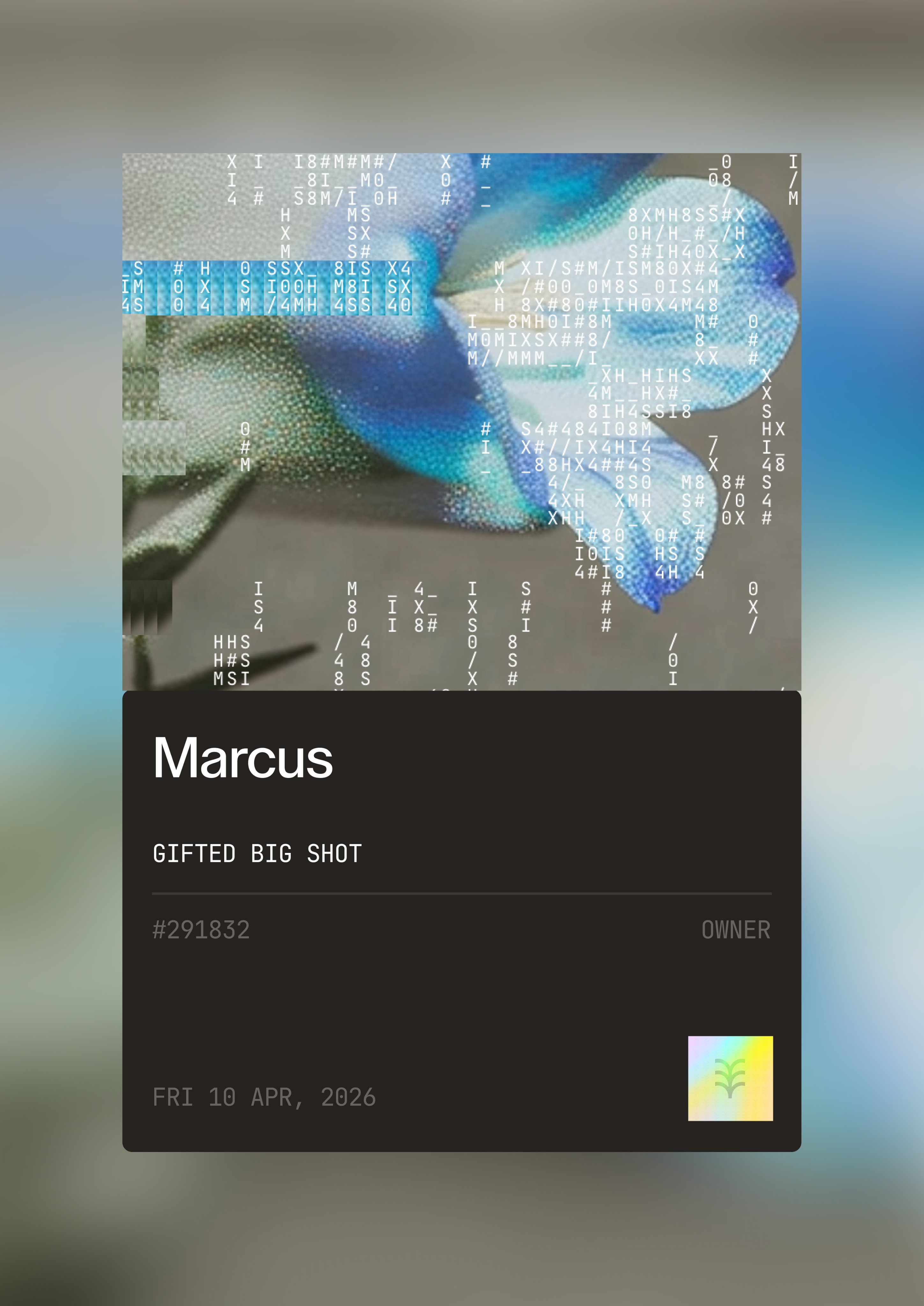 profile cards different direction