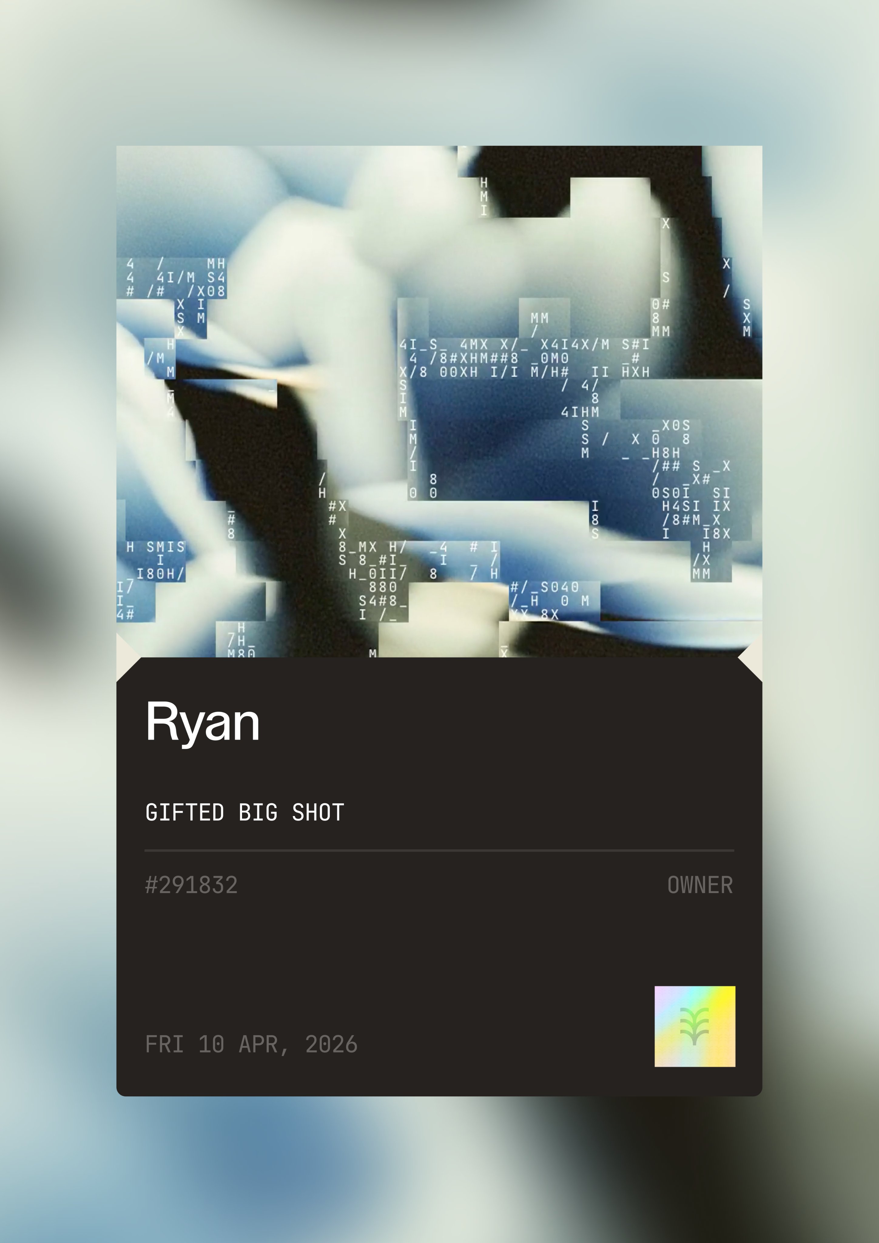 profile cards different direction