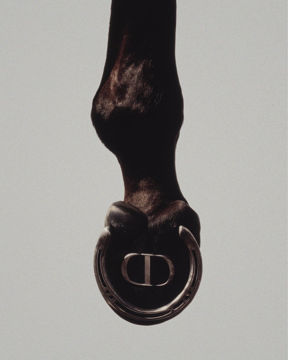 The Saddle — Dior https://t