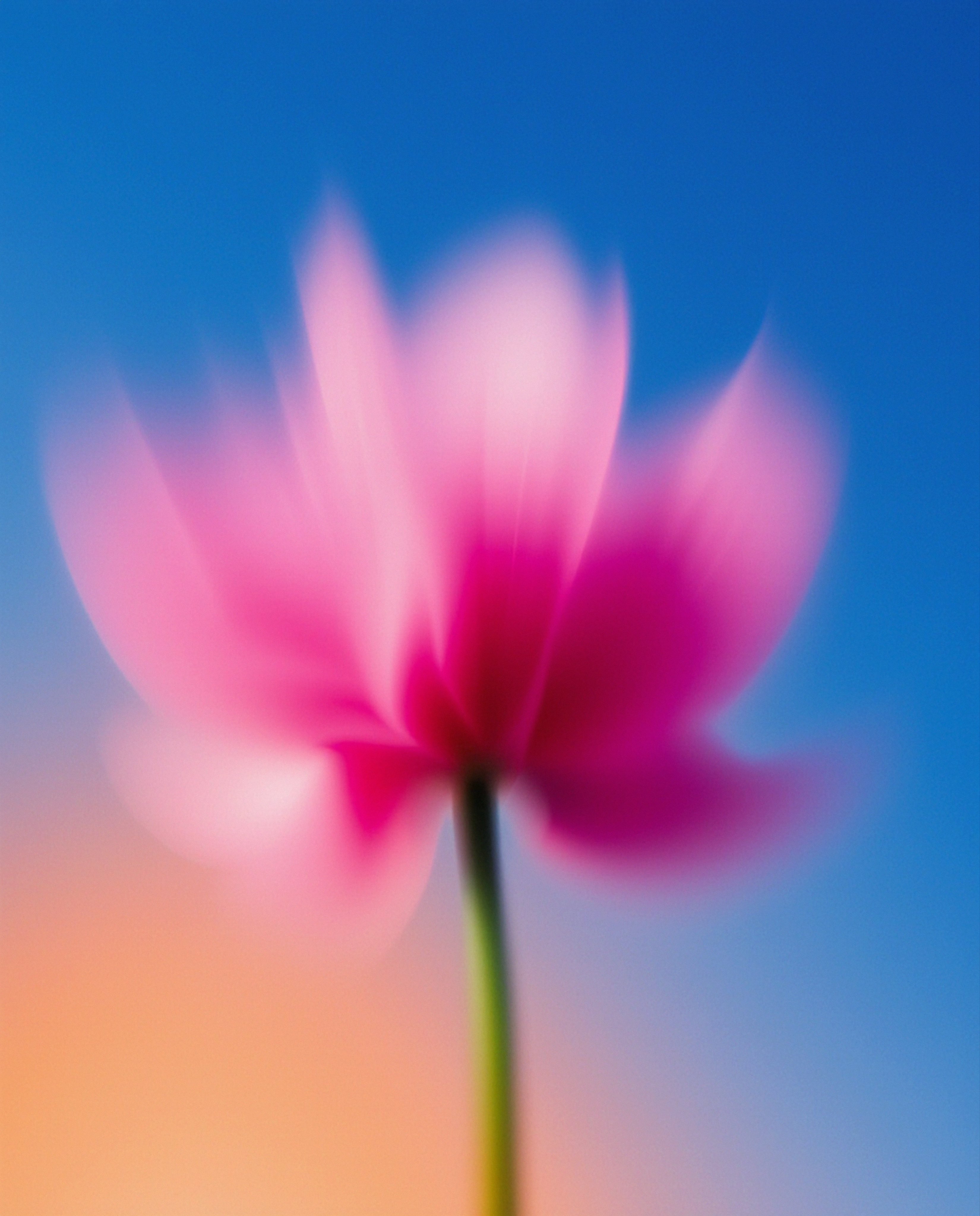 i get asked sometimes about use of my images, you can DL some of my…